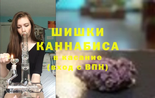 ГАЛЛЮЦИНОГЕННЫЕ ГРИБЫ Вязники