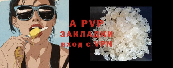 ГАЛЛЮЦИНОГЕННЫЕ ГРИБЫ Вязники