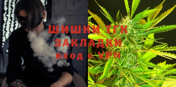ГАЛЛЮЦИНОГЕННЫЕ ГРИБЫ Вязники