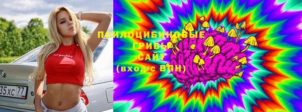 ГАЛЛЮЦИНОГЕННЫЕ ГРИБЫ Вязники