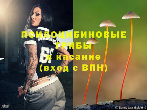 PSILOCYBIN Вязьма