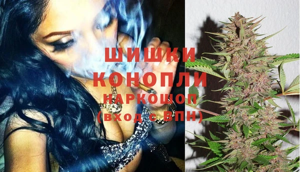 бошки Вяземский