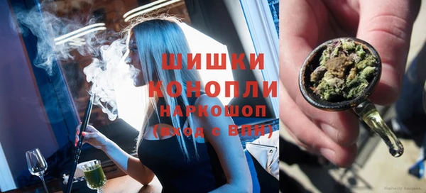 ГАЛЛЮЦИНОГЕННЫЕ ГРИБЫ Вязники