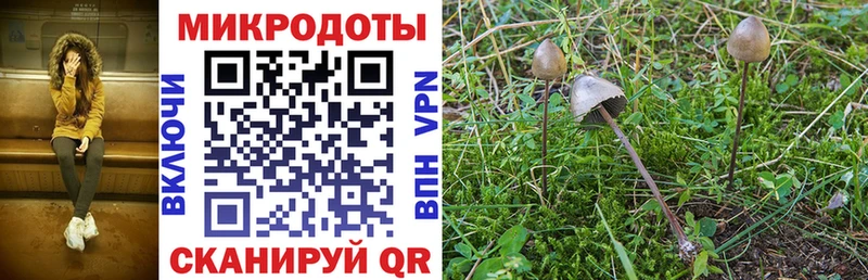 как найти закладки  Далматово  MEGA зеркало  Галлюциногенные грибы Magic Shrooms 