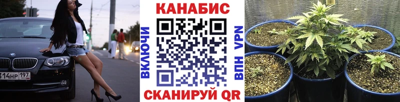 Каннабис White Widow Далматово